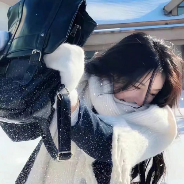阴山守陵人