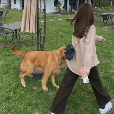 如何培养一个女孩